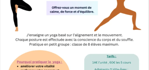 Affiche Yoga Anita 2026 27